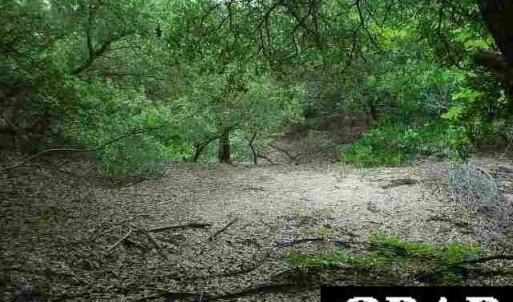 Photo #1 of 1695 Ridge Road, Corolla, NC