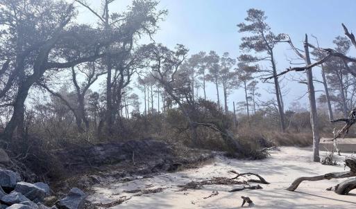 Photo #3 of Cahoon Road, Manns Harbor, NC 9.6 acres