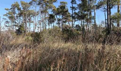 Photo #4 of Cahoon Road, Manns Harbor, NC 9.6 acres