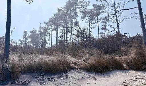 Photo #2 of Cahoon Road, Manns Harbor, NC 9.6 acres