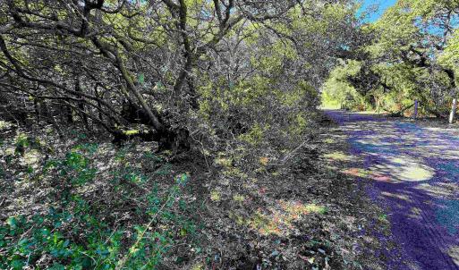 Photo #7 of 23875 NC Highway 12, Rodanthe, NC 0.7 acres