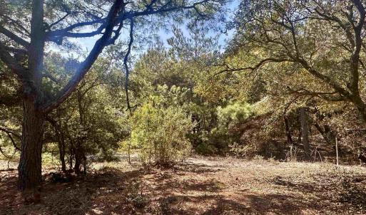 Photo #3 of 2392 Sandpiper Road, Corolla, NC 0.3 acres