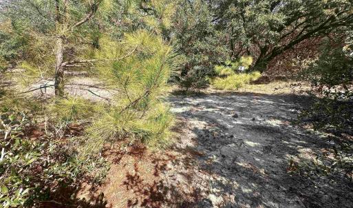 Photo #9 of 2392 Sandpiper Road, Corolla, NC 0.3 acres