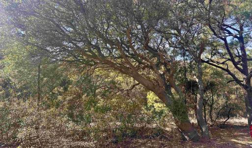 Photo #6 of 2392 Sandpiper Road, Corolla, NC 0.3 acres