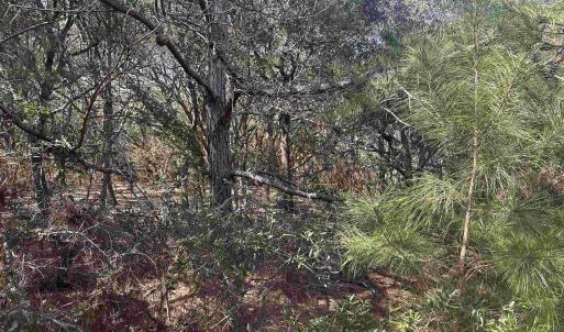 Photo #8 of 2392 Sandpiper Road, Corolla, NC 0.3 acres