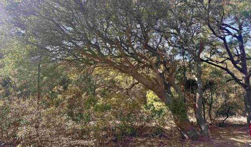 Photo #6 of 2392 Sandpiper Road, Corolla, NC 0.3 acres