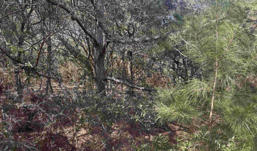Photo #8 of 2392 Sandpiper Road, Corolla, NC 0.3 acres