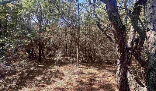 Photo #13 of 2314 Sandpiper Road, Corolla, NC 0.3 acres