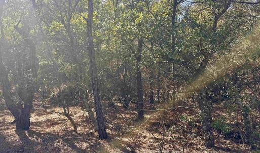 Photo #11 of 2314 Sandpiper Road, Corolla, NC 0.3 acres