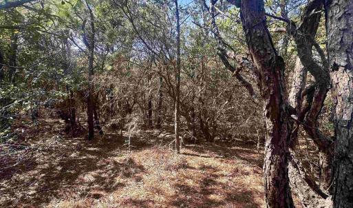 Photo #13 of 2314 Sandpiper Road, Corolla, NC 0.3 acres