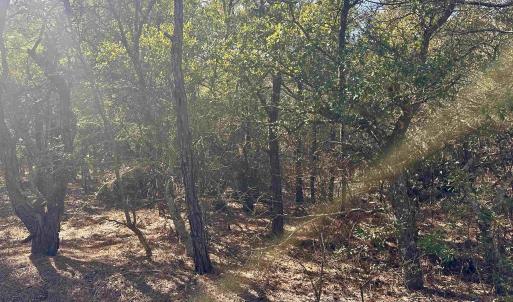 Photo #11 of 2314 Sandpiper Road, Corolla, NC 0.3 acres