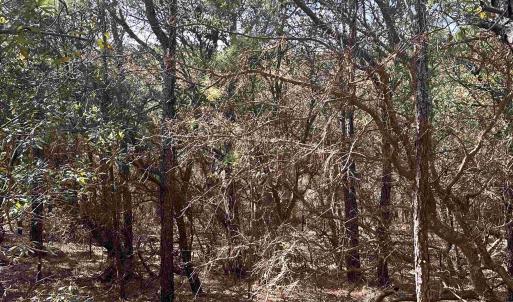 Photo #12 of 2314 Sandpiper Road, Corolla, NC 0.3 acres