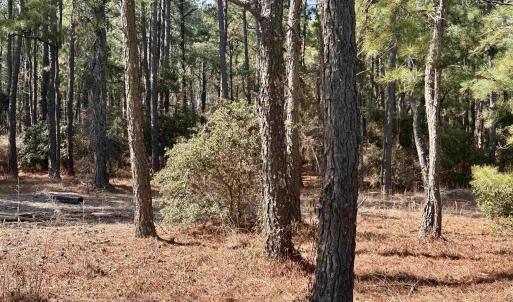 Photo #8 of 2324 Ocean Pearl Road, Corolla, NC 0.3 acres