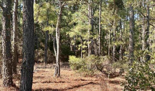 Photo #9 of 2324 Ocean Pearl Road, Corolla, NC 0.3 acres