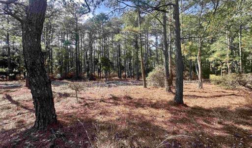 Photo #7 of 2324 Ocean Pearl Road, Corolla, NC 0.3 acres