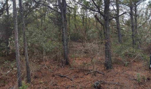 Photo #18 of 2356 Sandpiper Road, Corolla, NC 0.3 acres