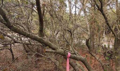 Photo #23 of 2356 Sandpiper Road, Corolla, NC 0.3 acres