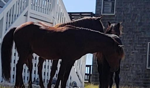 Photo #30 of 2356 Sandpiper Road, Corolla, NC 0.3 acres