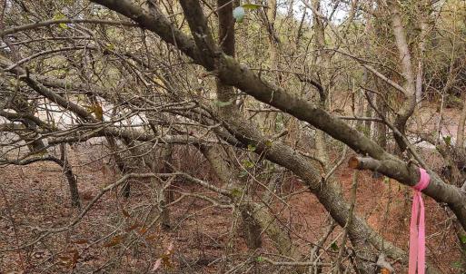 Photo #22 of 2356 Sandpiper Road, Corolla, NC 0.3 acres