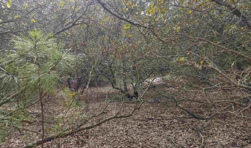 Photo #21 of 2356 Sandpiper Road, Corolla, NC 0.3 acres