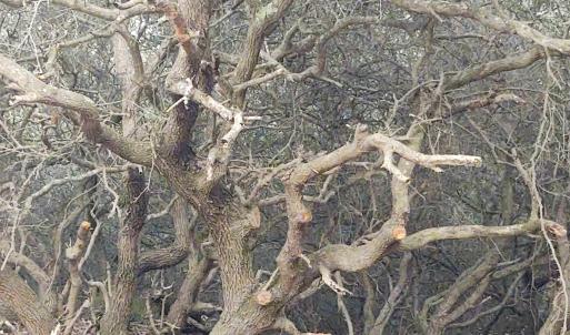 Photo #25 of 2356 Sandpiper Road, Corolla, NC 0.3 acres