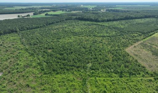 Photo #7 of Ocean Highway South, Hertford, NC