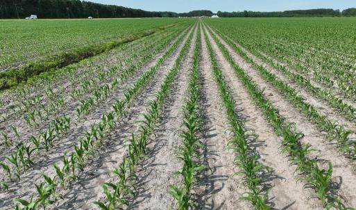 Photo #15 of Ocean Highway South, Hertford, NC