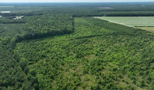 Photo #9 of Ocean Highway South, Hertford, NC