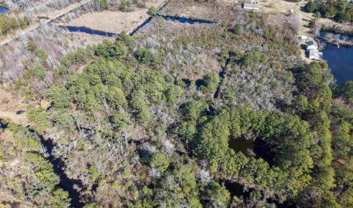 Photo #14 of 959 Waterlily Road, Coinjock, NC 12.7 acres