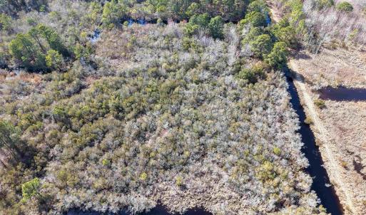 Photo #19 of 959 Waterlily Road, Coinjock, NC 12.7 acres