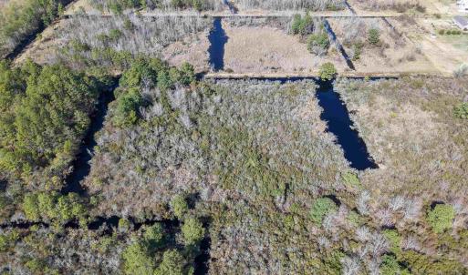 Photo #15 of 959 Waterlily Road, Coinjock, NC 12.7 acres