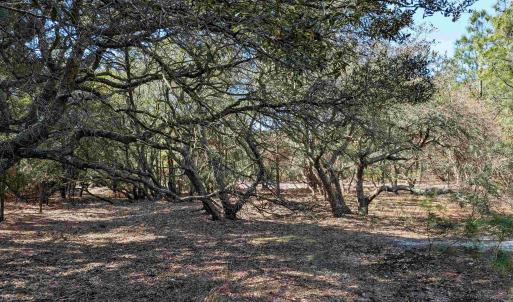 Photo #9 of 2206 Teal Road, Corolla, NC 0.3 acres