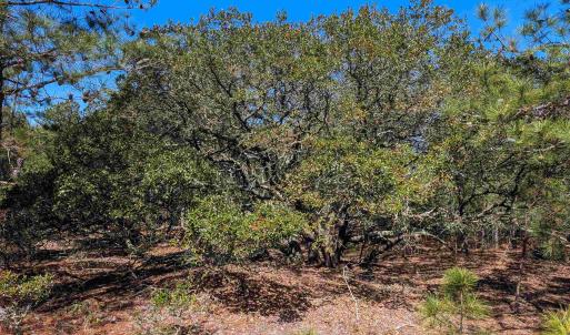 Photo #6 of 2206 Teal Road, Corolla, NC 0.3 acres