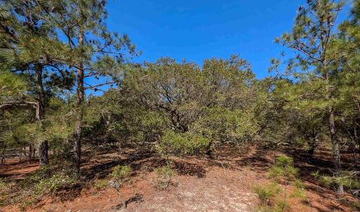 Photo #7 of 2206 Teal Road, Corolla, NC 0.3 acres