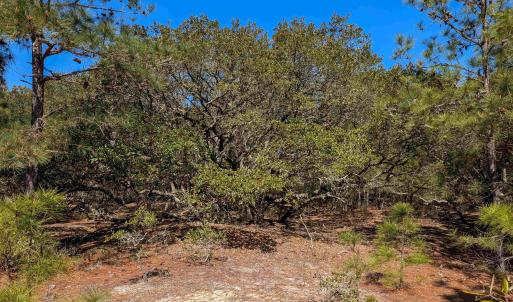 Photo #10 of 2206 Teal Road, Corolla, NC 0.3 acres