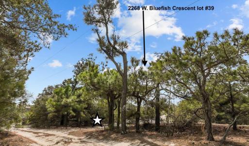 Photo #12 of 2268 Bluefish Crescent, Corolla, NC 0.3 acres
