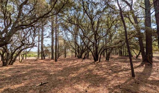 Photo #9 of 2021 Sea Gull Road, Corolla, NC 0.3 acres