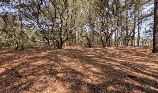 Photo #8 of 2021 Sea Gull Road, Corolla, NC 0.3 acres
