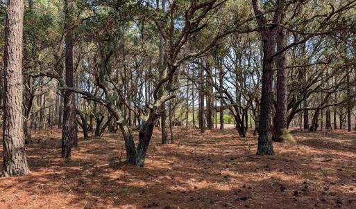Photo #15 of 2021 Sea Gull Road, Corolla, NC 0.3 acres