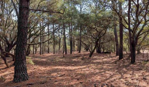 Photo #4 of 2021 Sea Gull Road, Corolla, NC 0.3 acres