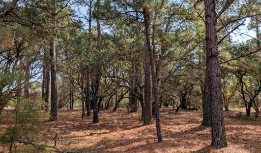 Photo #12 of 2021 Sea Gull Road, Corolla, NC 0.3 acres