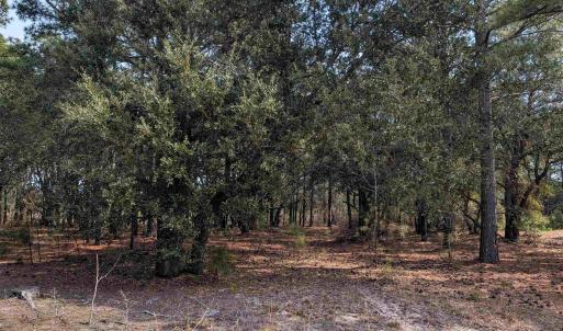 Photo #2 of 2021 Sea Gull Road, Corolla, NC 0.3 acres