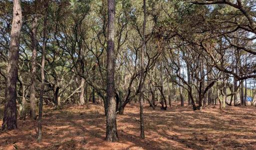 Photo #6 of 2021 Sea Gull Road, Corolla, NC 0.3 acres