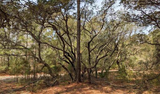 Photo #11 of 2021 Sea Gull Road, Corolla, NC 0.3 acres