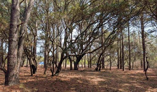 Photo #5 of 2021 Sea Gull Road, Corolla, NC 0.3 acres