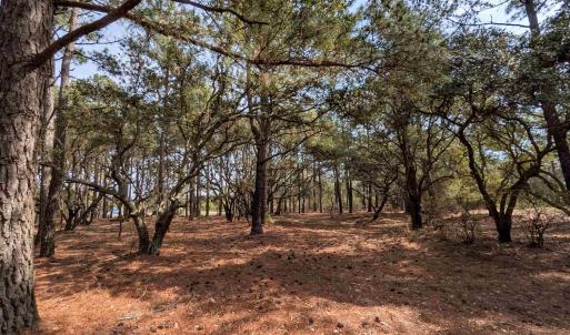 Photo #14 of 2021 Sea Gull Road, Corolla, NC 0.3 acres