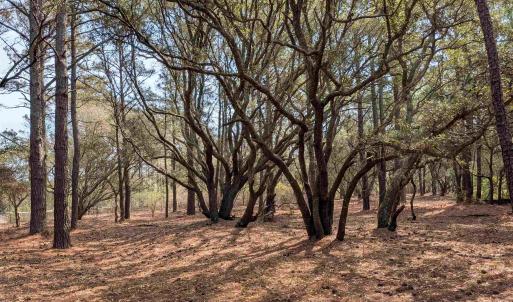 Photo #10 of 2021 Sea Gull Road, Corolla, NC 0.3 acres