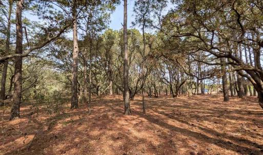 Photo #7 of 2021 Sea Gull Road, Corolla, NC 0.3 acres