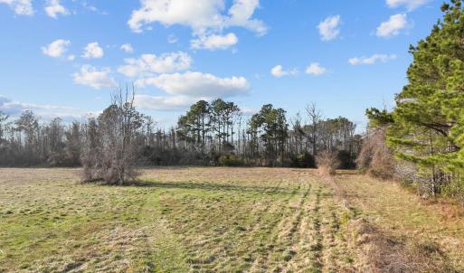 Photo #10 of 150 Hampton Road, Coinjock, NC 95.0 acres