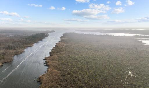 Photo #14 of 150 Hampton Road, Coinjock, NC 95.0 acres